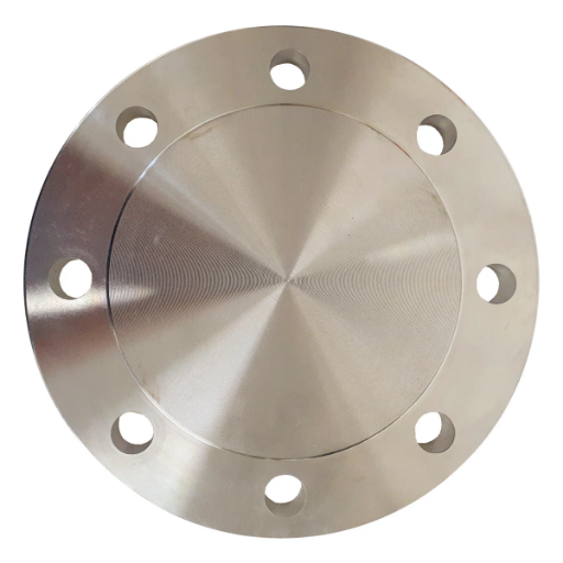 Stainless Steel Blind Flange